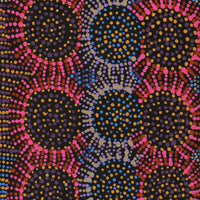 Aboriginal Artwork by Tina Napangardi Martin, Jintiparnta Jukurrpa (Desert Truffle Dreaming) - Mina Mina, 61x30cm