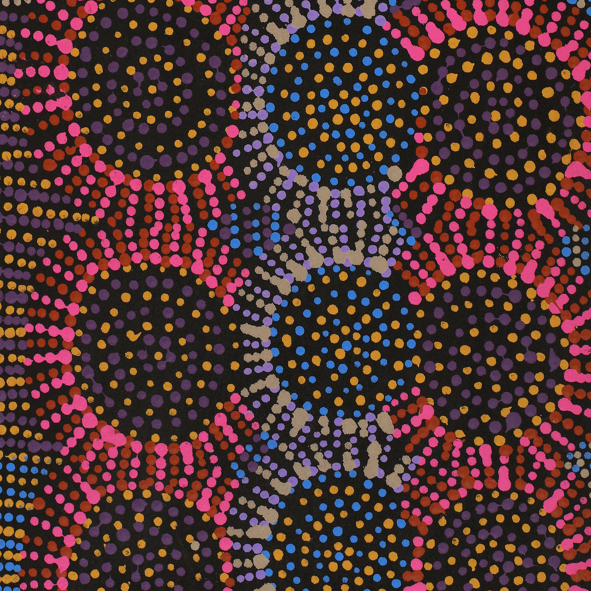 Aboriginal Art by Tina Napangardi Martin, Jintiparnta Jukurrpa (Desert Truffle Dreaming) - Mina Mina, 61x30cm - ART ARK®