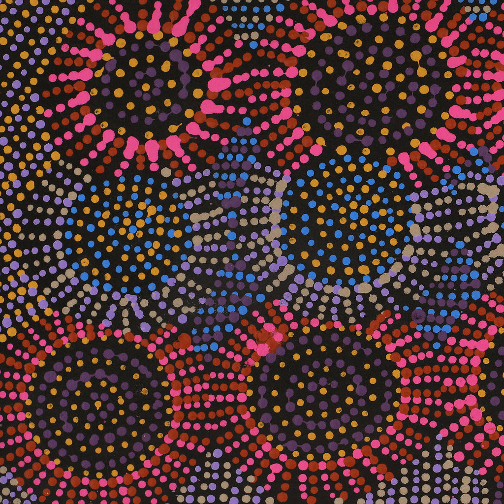 Aboriginal Art by Tina Napangardi Martin, Jintiparnta Jukurrpa (Desert Truffle Dreaming) - Mina Mina, 61x30cm - ART ARK®