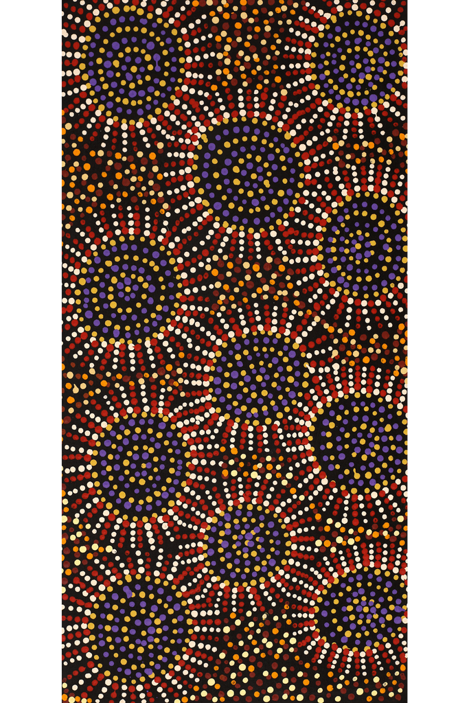Aboriginal Artwork by Tina Napangardi Martin, Jintiparnta Jukurrpa (Desert Truffle Dreaming) - Mina Mina, 61x30cm