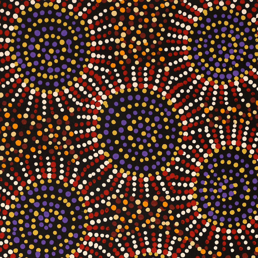 Aboriginal Artwork by Tina Napangardi Martin, Jintiparnta Jukurrpa (Desert Truffle Dreaming) - Mina Mina, 61x30cm