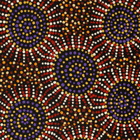 Aboriginal Artwork by Tina Napangardi Martin, Jintiparnta Jukurrpa (Desert Truffle Dreaming) - Mina Mina, 61x30cm
