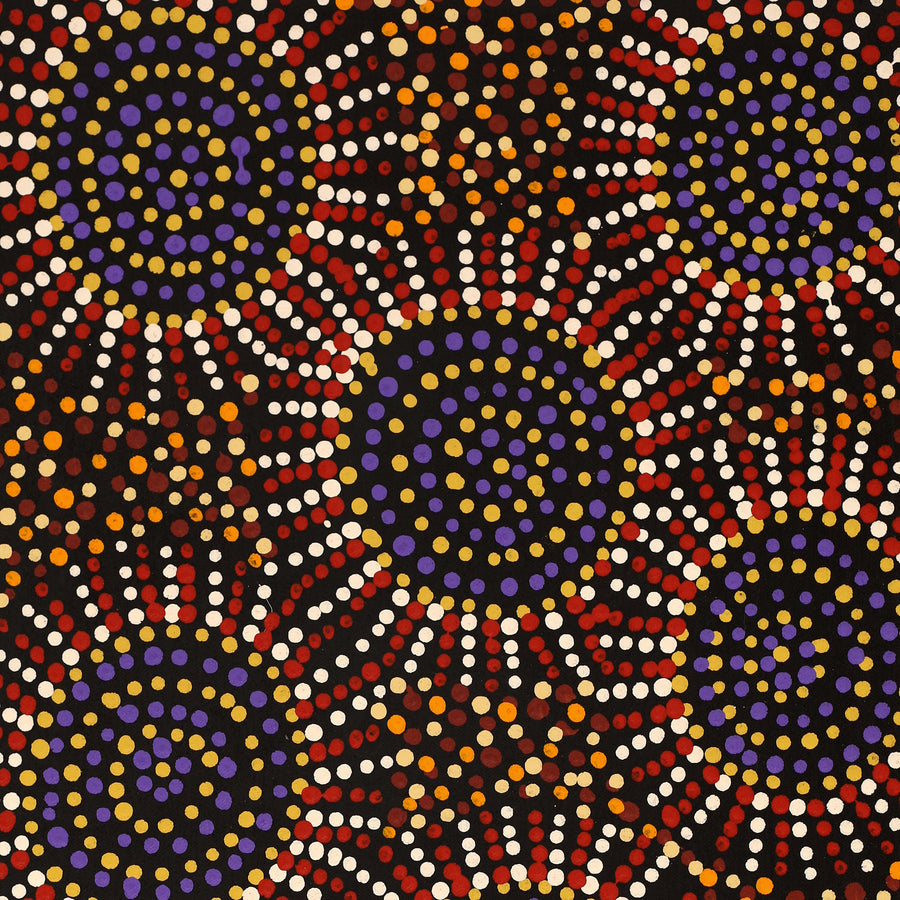 Aboriginal Artwork by Tina Napangardi Martin, Jintiparnta Jukurrpa (Desert Truffle Dreaming) - Mina Mina, 61x30cm