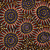 Aboriginal Artwork by Tina Napangardi Martin, Jintiparnta Jukurrpa (Desert Truffle Dreaming) - Mina Mina, 61x30cm