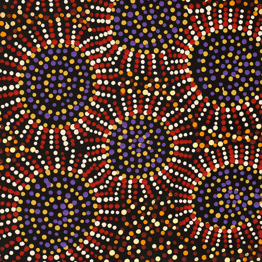 Aboriginal Artwork by Tina Napangardi Martin, Jintiparnta Jukurrpa (Desert Truffle Dreaming) - Mina Mina, 61x30cm