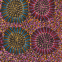 Aboriginal Artwork by Tina Napangardi Martin, Jintiparnta Jukurrpa (Desert Truffle Dreaming) - Mina Mina, 61x46cm
