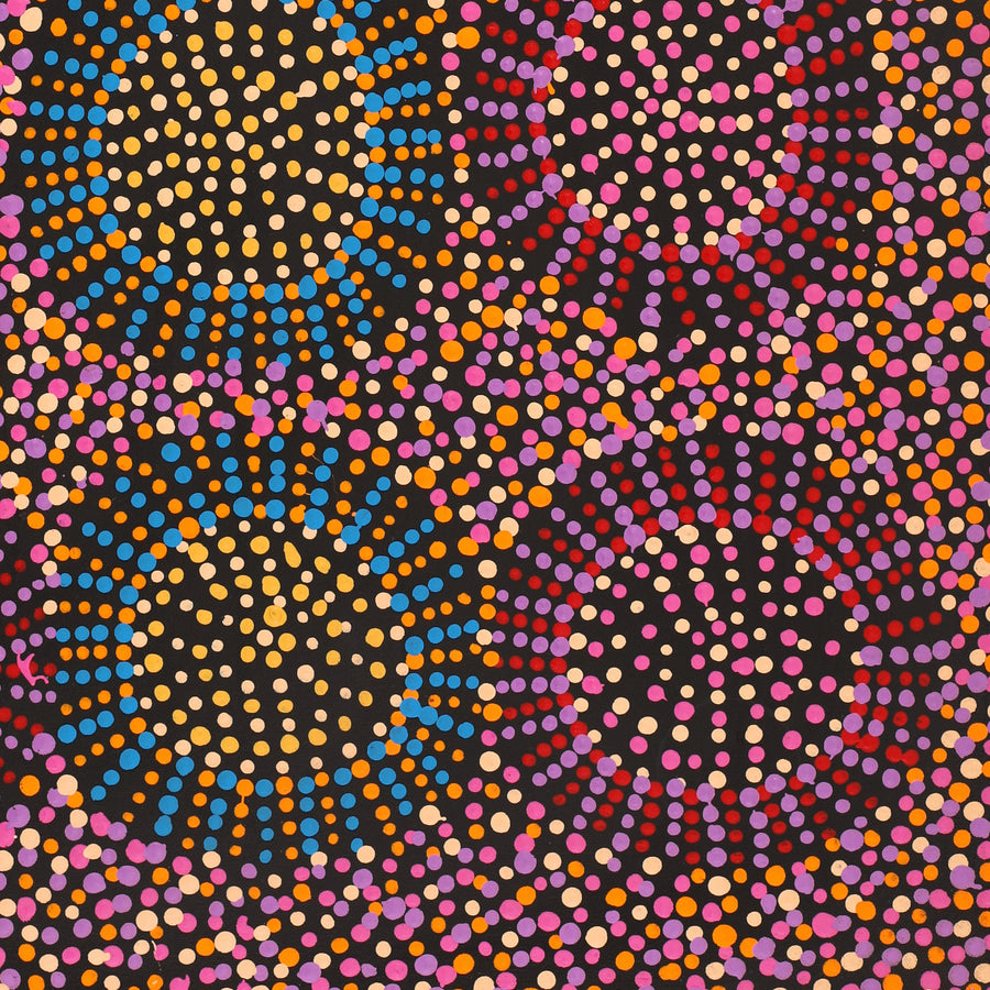 Aboriginal Artwork by Tina Napangardi Martin, Jintiparnta Jukurrpa (Desert Truffle Dreaming) - Mina Mina, 61x46cm