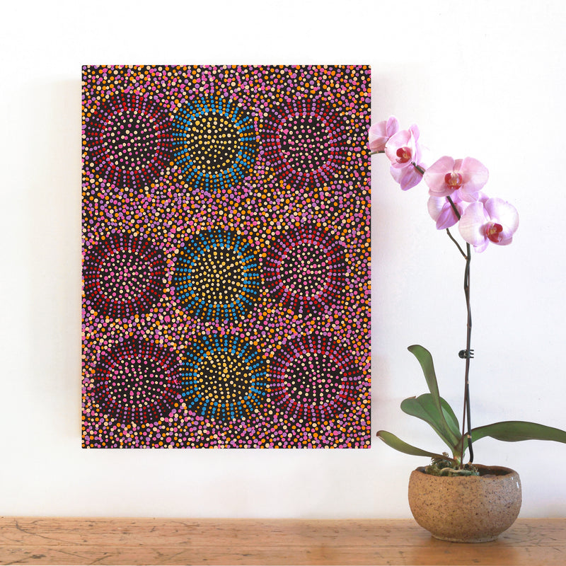 Aboriginal Artwork by Tina Napangardi Martin, Jintiparnta Jukurrpa (Desert Truffle Dreaming) - Mina Mina, 61x46cm