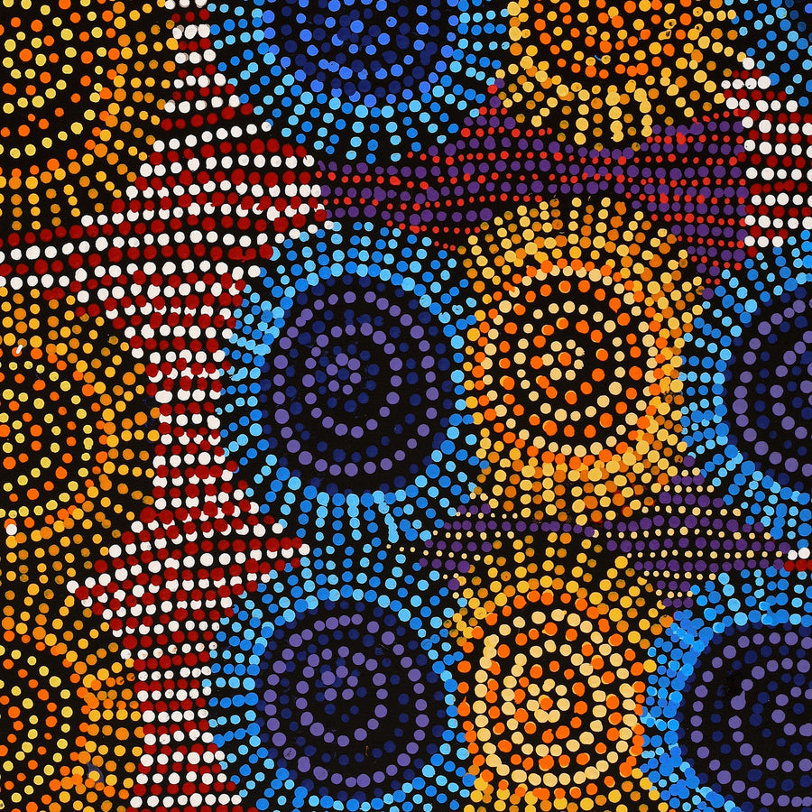 Aboriginal Artwork by Tina Napangardi Martin, Jintiparnta Jukurrpa (Desert Truffle Dreaming) - Mina Mina, 61x61cm
