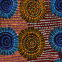 Aboriginal Artwork by Tina Napangardi Martin, Jintiparnta Jukurrpa (Desert Truffle Dreaming) - Mina Mina, 61x61cm