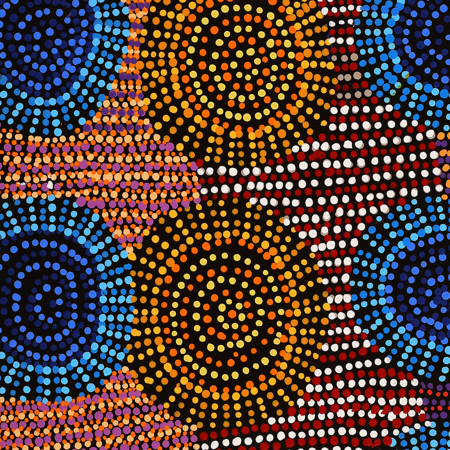Aboriginal Artwork by Tina Napangardi Martin, Jintiparnta Jukurrpa (Desert Truffle Dreaming) - Mina Mina, 61x61cm