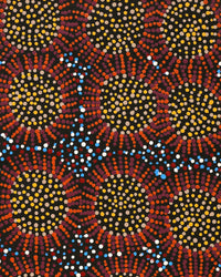 Aboriginal Artwork by Tina Napangardi Martin, Jintiparnta Jukurrpa (Desert Truffle Dreaming) - Mina Mina, 76x30cm
