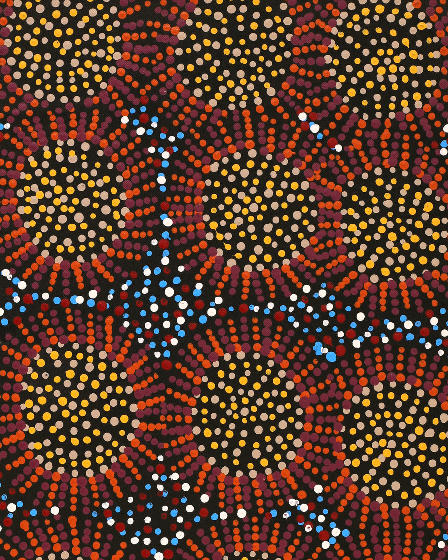 Aboriginal Artwork by Tina Napangardi Martin, Jintiparnta Jukurrpa (Desert Truffle Dreaming) - Mina Mina, 76x30cm