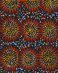Aboriginal Artwork by Tina Napangardi Martin, Jintiparnta Jukurrpa (Desert Truffle Dreaming) - Mina Mina, 76x30cm