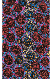 Aboriginal Artwork by Tina Napangardi Martin, Jintiparnta Jukurrpa (Desert Truffle Dreaming) - Mina Mina, 76x46cm