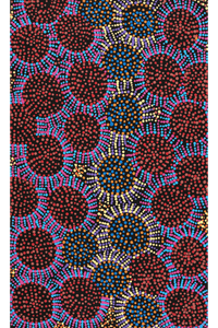 Aboriginal Art by Tina Napangardi Martin, Jintiparnta Jukurrpa (Desert Truffle Dreaming) - Mina Mina, 76x46cm - ART ARK®