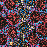Aboriginal Artwork by Tina Napangardi Martin, Jintiparnta Jukurrpa (Desert Truffle Dreaming) - Mina Mina, 76x46cm
