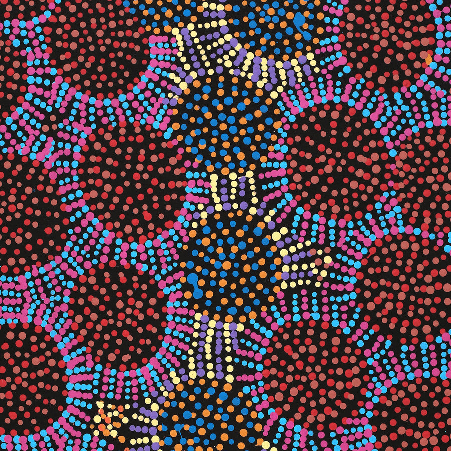 Aboriginal Artwork by Tina Napangardi Martin, Jintiparnta Jukurrpa (Desert Truffle Dreaming) - Mina Mina, 76x46cm