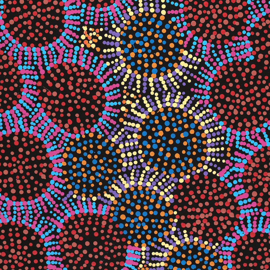 Aboriginal Artwork by Tina Napangardi Martin, Jintiparnta Jukurrpa (Desert Truffle Dreaming) - Mina Mina, 76x46cm