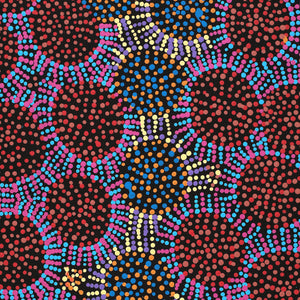 Aboriginal Art by Tina Napangardi Martin, Jintiparnta Jukurrpa (Desert Truffle Dreaming) - Mina Mina, 76x46cm - ART ARK®