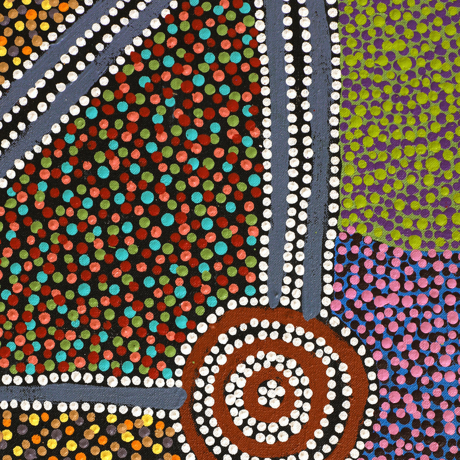 Aboriginal Artwork by Tina Napangardi Martin, Jintiparnta Jukurrpa (Desert Truffle Dreaming) - Mina Mina, 76x61cm