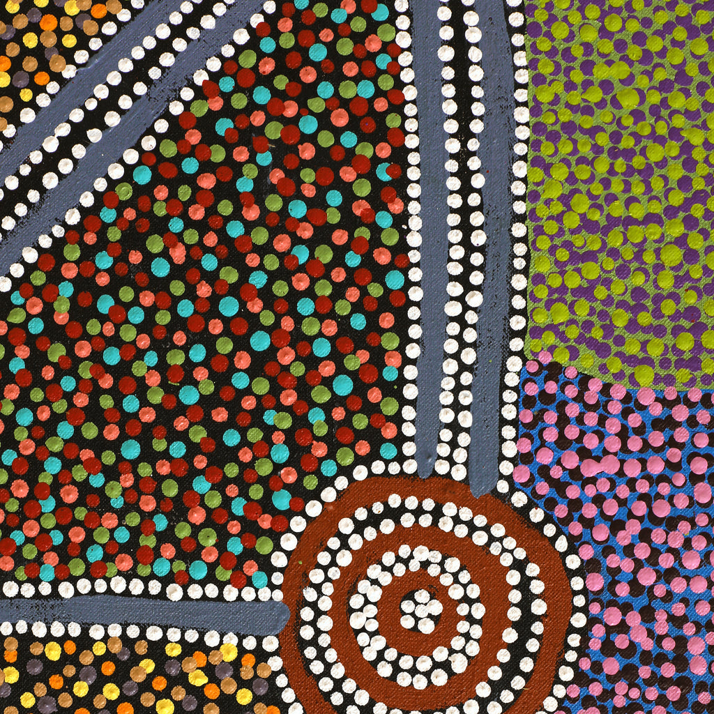Aboriginal Artwork by Tina Napangardi Martin, Jintiparnta Jukurrpa (Desert Truffle Dreaming) - Mina Mina, 76x61cm - ART ARK®