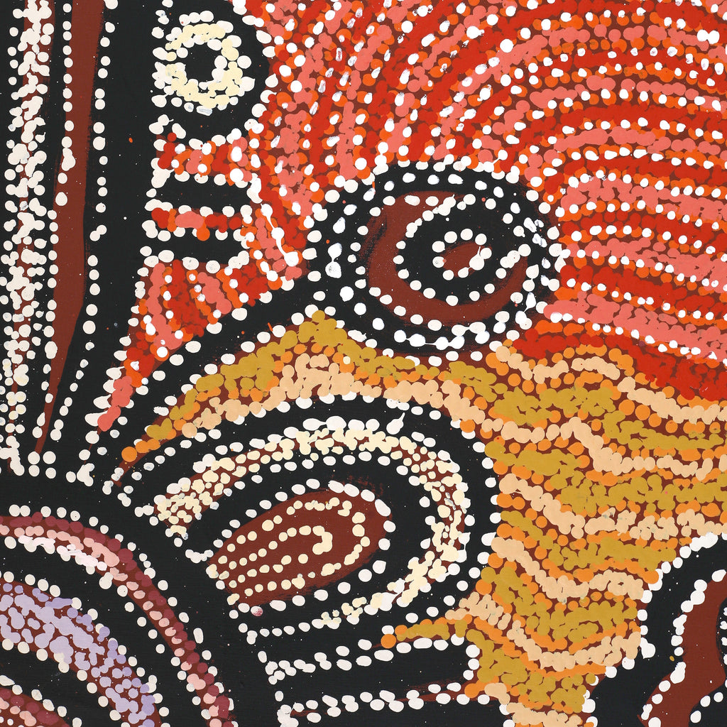 Aboriginal Artwork by Tjimpuna Williams, Piltati Tjukurpa, 220x142cm