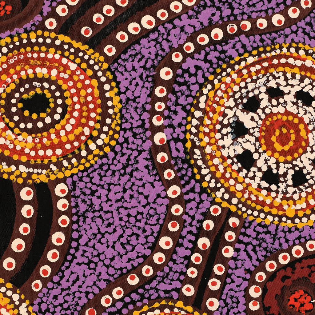 Aboriginal Artwork by Tjimpuna Williams, Piltati Tjukurrpa, 60x43cm
