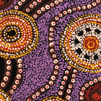 Aboriginal Artwork by Tjimpuna Williams, Piltati Tjukurrpa, 60x43cm