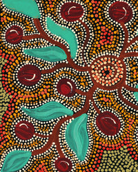 Aboriginal Artwork by Tjimpuna Williams, Piltati Tjukurrpa, 60x43cm