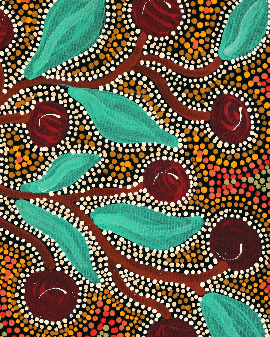 Aboriginal Artwork by Tjimpuna Williams, Piltati Tjukurrpa, 60x43cm