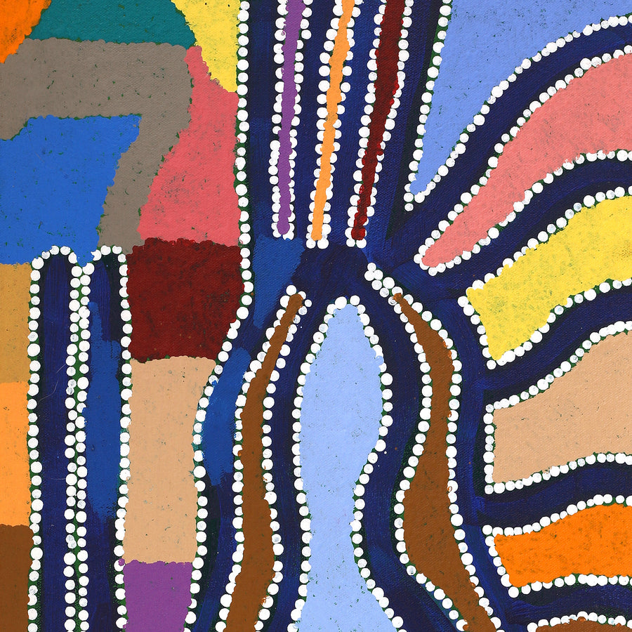 Aboriginal Artwork by Trevor Jupurrurla Walker, Pirlarla Jukurrpa (Dogwood Tree Bean Dreaming), 76x30cm