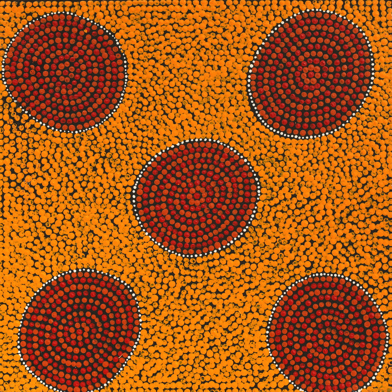 Aboriginal Artwork by Trixie Nangala Patrick, Ngatijirri Jukurrpa (Budgerigar Dreaming), 30x30cm