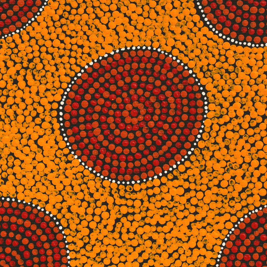 Aboriginal Artwork by Trixie Nangala Patrick, Ngatijirri Jukurrpa (Budgerigar Dreaming), 30x30cm