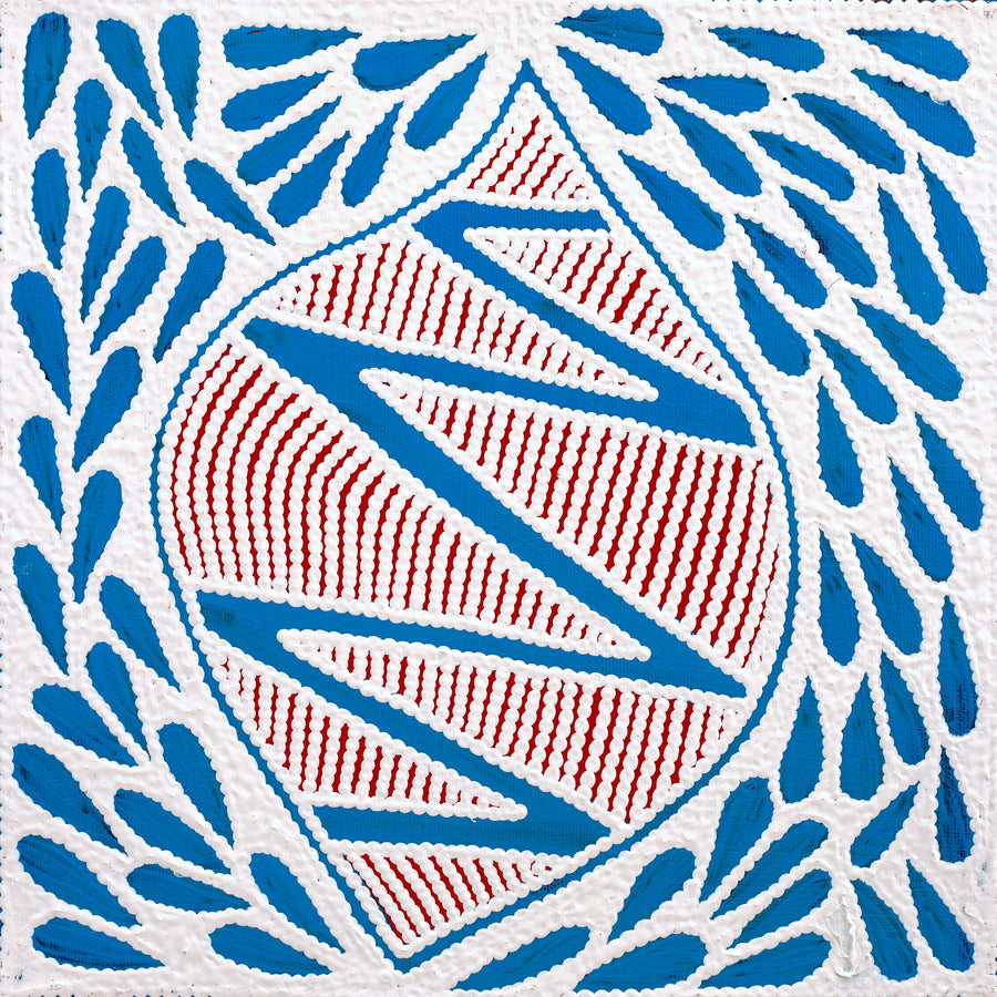 Aboriginal Artwork by Ursula Napangardi Hudson, Pikilyi Jukurrpa (Vaughan Springs Dreaming), 30x30cm