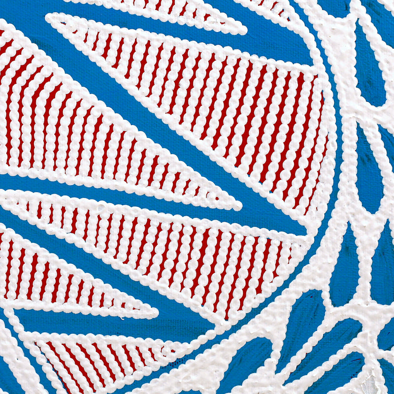 Aboriginal Artwork by Ursula Napangardi Hudson, Pikilyi Jukurrpa (Vaughan Springs Dreaming), 30x30cm