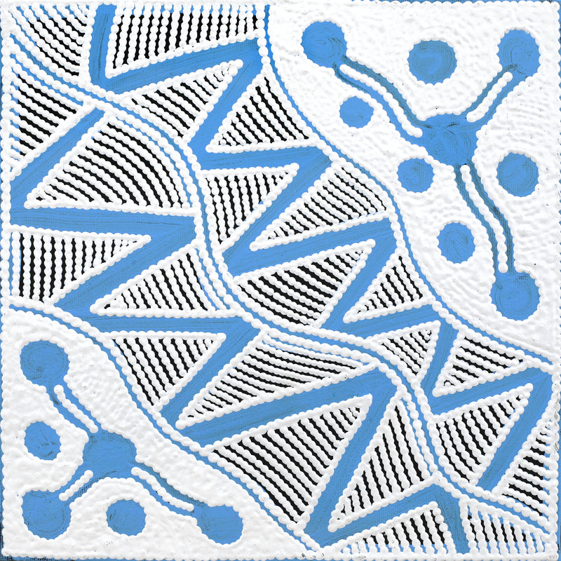 Aboriginal Artwork by Ursula Napangardi Hudson, Pikilyi Jukurrpa (Vaughan Springs Dreaming), 30x30cm