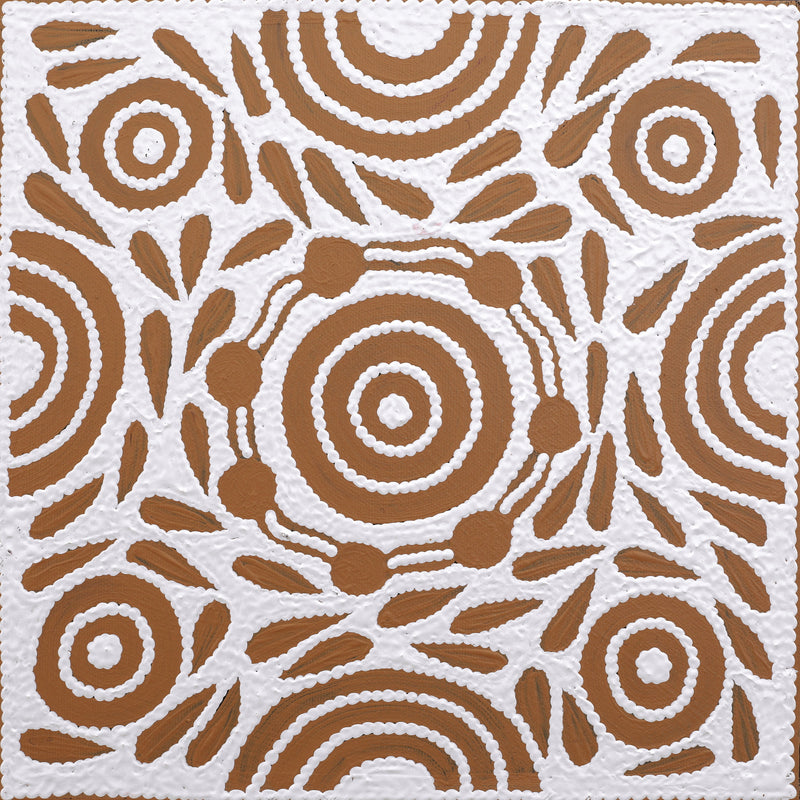 Aboriginal Artwork by Ursula Napangardi Hudson, Pikilyi Jukurrpa (Vaughan Springs Dreaming), 30x30cm