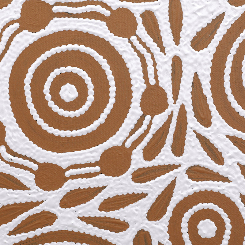 Aboriginal Artwork by Ursula Napangardi Hudson, Pikilyi Jukurrpa (Vaughan Springs Dreaming), 30x30cm