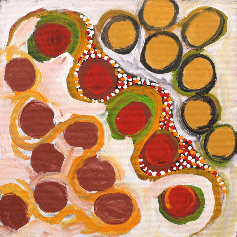 Aboriginal Artwork by Ursula Napangardi Marks, Ngayaki Jukurrpa - Bush Tomato Dreaming, 30x30cm