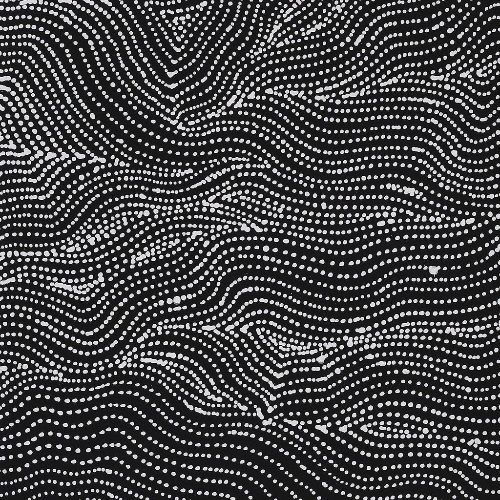 Aboriginal Artwork by Valda Napangardi Granites, Ngalyipi Jukurrpa (Snakevine Dreaming) - Mina Mina, 107x30cm