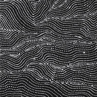 Aboriginal Artwork by Valda Napangardi Granites, Ngalyipi Jukurrpa (Snakevine Dreaming) - Mina Mina, 107x30cm