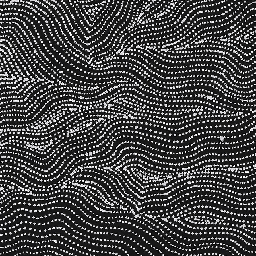 Aboriginal Artwork by Valda Napangardi Granites, Ngalyipi Jukurrpa (Snakevine Dreaming) - Mina Mina, 107x30cm