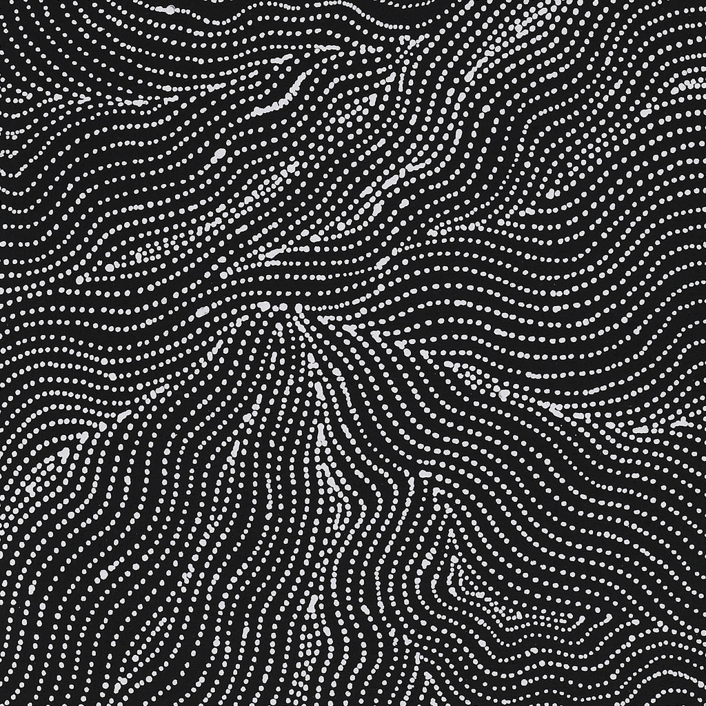 Aboriginal Artwork by Valda Napangardi Granites, Ngalyipi Jukurrpa (Snakevine Dreaming) - Mina Mina, 107x30cm