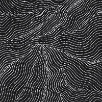 Aboriginal Artwork by Valda Napangardi Granites, Ngalyipi Jukurrpa (Snakevine Dreaming) - Mina Mina, 107x30cm