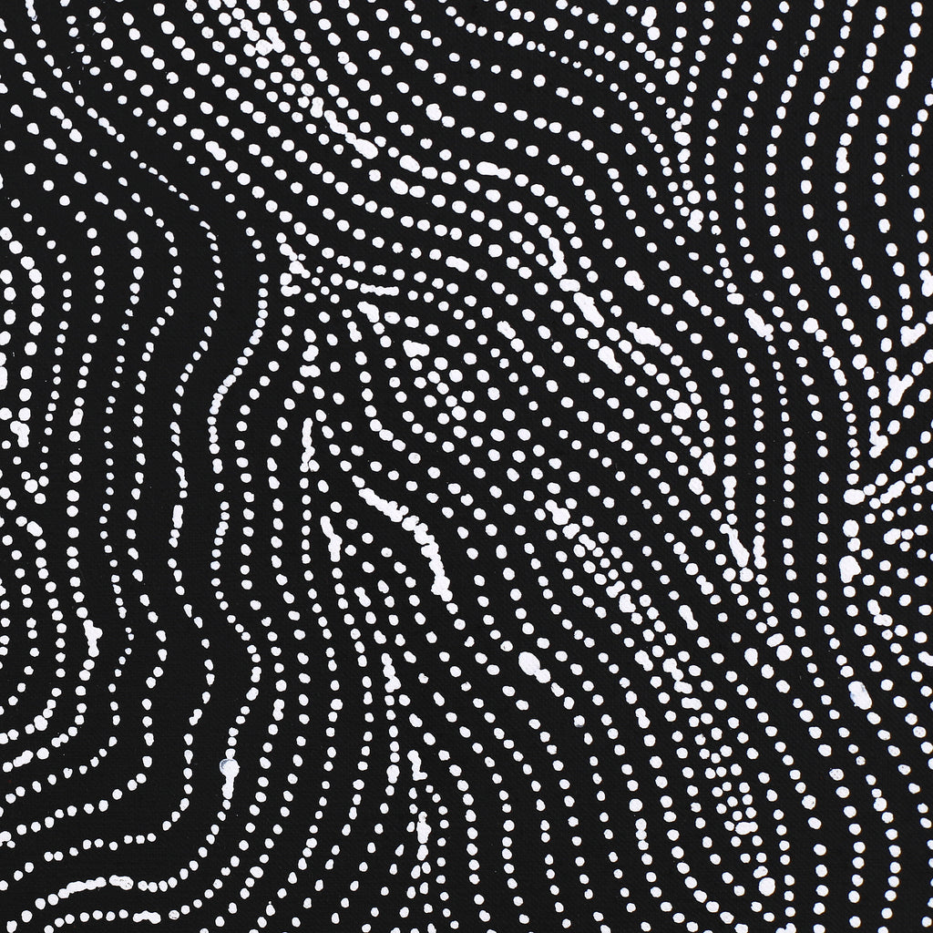 Aboriginal Artwork by Valda Napangardi Granites, Ngalyipi Jukurrpa (Snakevine Dreaming) - Mina Mina, 107x30cm