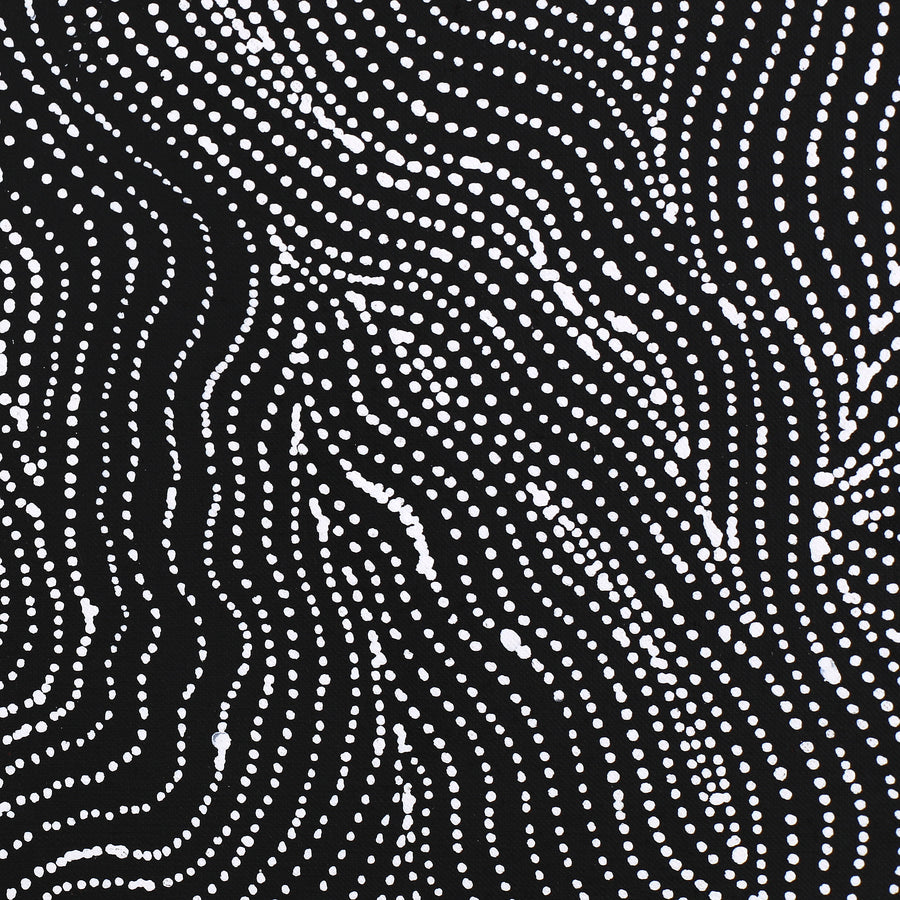 Aboriginal Artwork by Valda Napangardi Granites, Ngalyipi Jukurrpa (Snakevine Dreaming) - Mina Mina, 107x30cm
