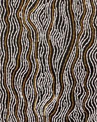 Aboriginal Artwork by Valda Napangardi Granites, Ngalyipi Jukurrpa (Snakevine Dreaming) - Mina Mina, 122x46cm
