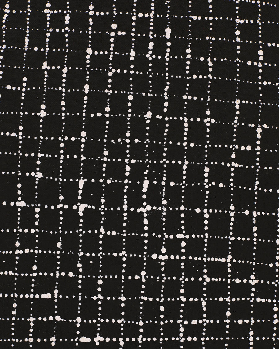 Aboriginal Artwork by Valda Napangardi Granites, Ngalyipi Jukurrpa (Snakevine Dreaming) - Mina Mina, 183x61cm