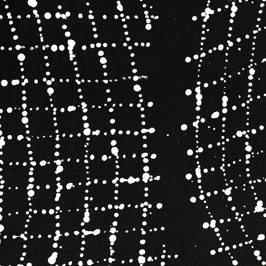 Aboriginal Artwork by Valda Napangardi Granites, Ngalyipi Jukurrpa (Snakevine Dreaming) - Mina Mina, 183x91cm